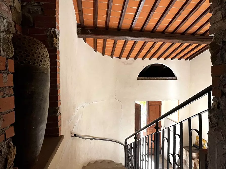 Immagine 39 di Villa in vendita  a Santa Luce