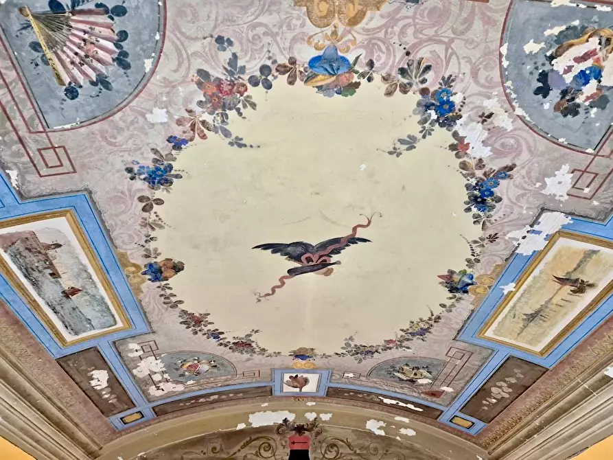 Immagine 34 di Terratetto in vendita  a Pisa