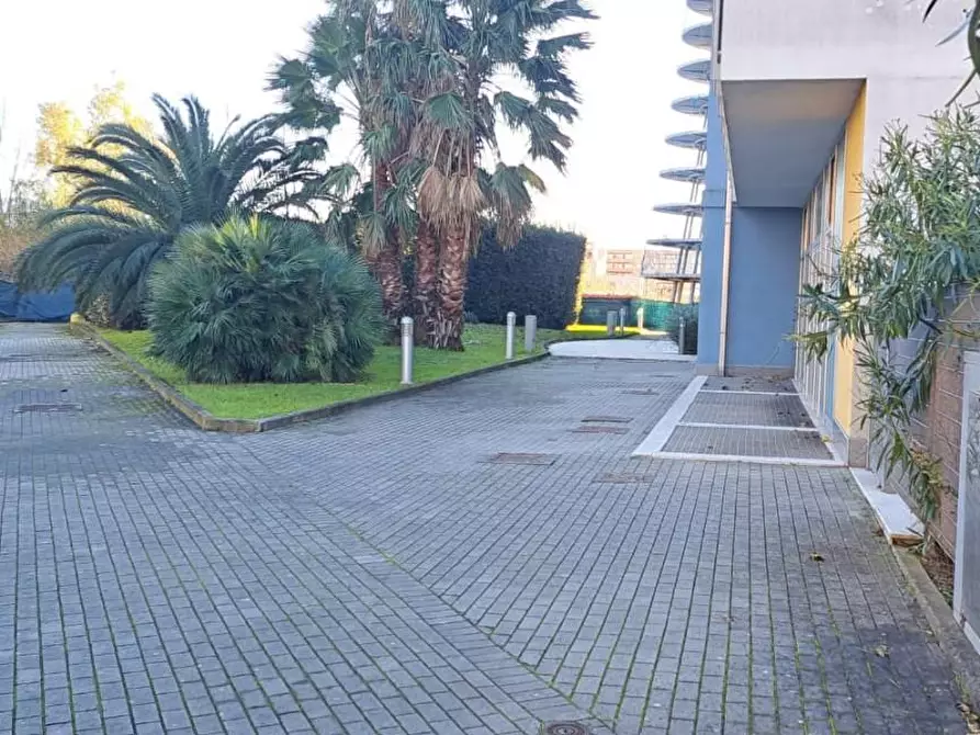 Immagine 5 di Appartamento in affitto  a Pisa