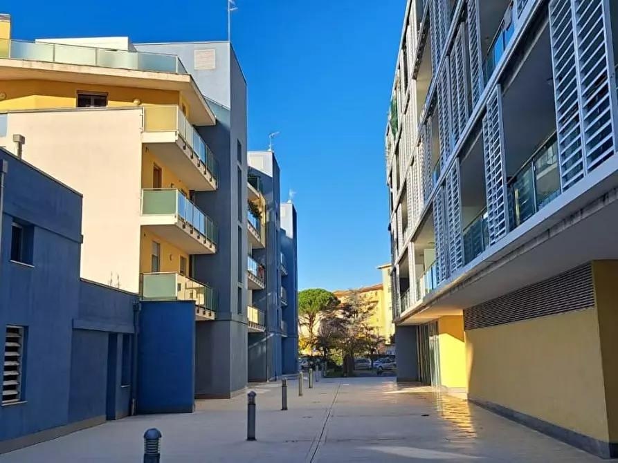 Immagine 12 di Appartamento in affitto  a Pisa