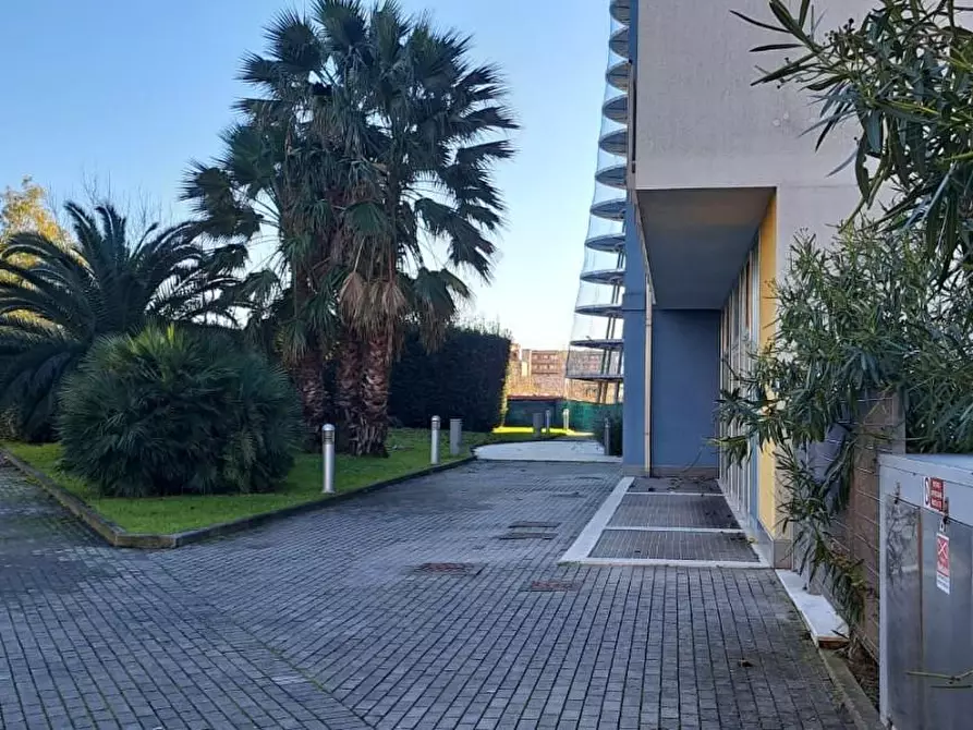 Immagine 7 di Appartamento in affitto  a Pisa