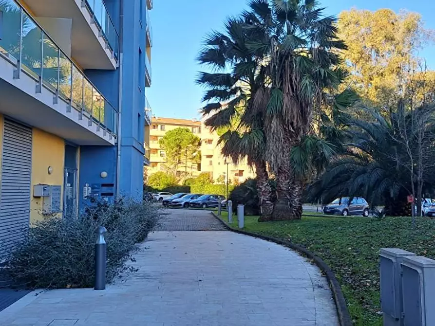 Immagine 10 di Appartamento in affitto  a Pisa