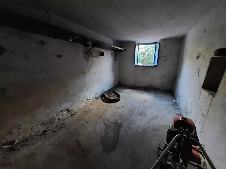 Immagine 9 di Appartamento in vendita  a Buti