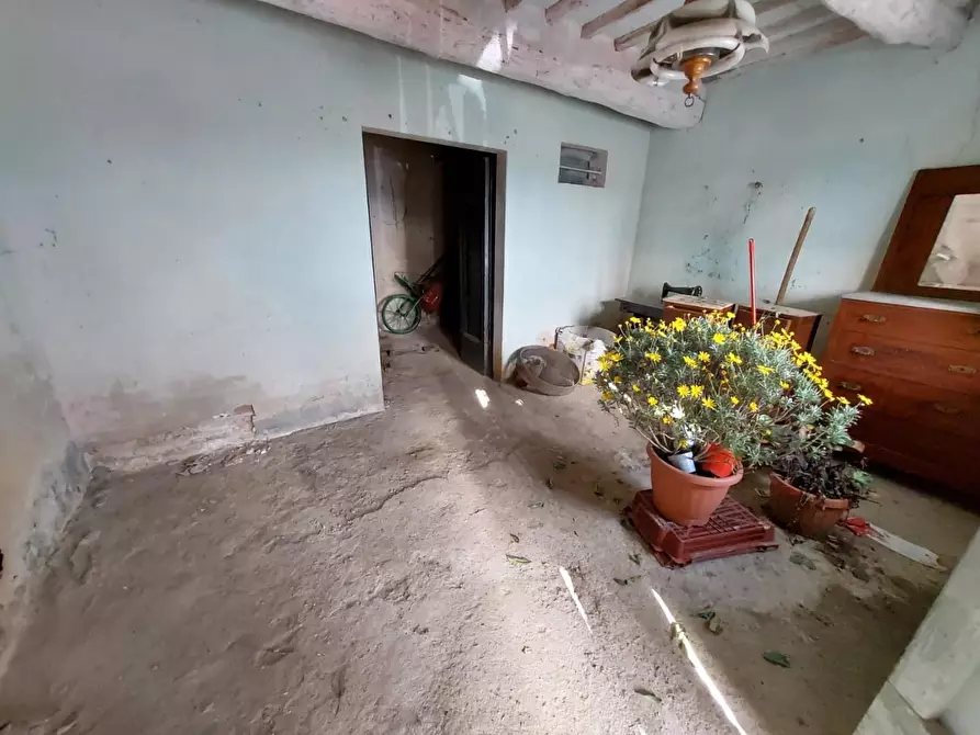 Immagine 10 di Appartamento in vendita  a Buti