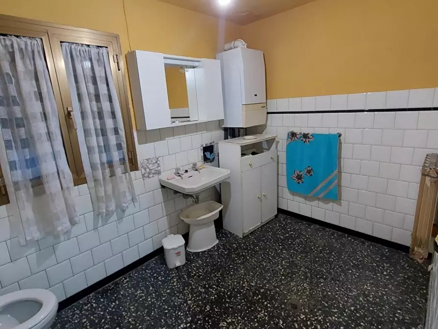 Immagine 19 di Terratetto in vendita  a Buti