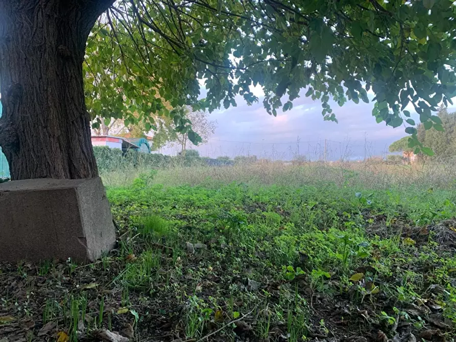 Immagine 18 di Terratetto in vendita  a San Giuliano Terme