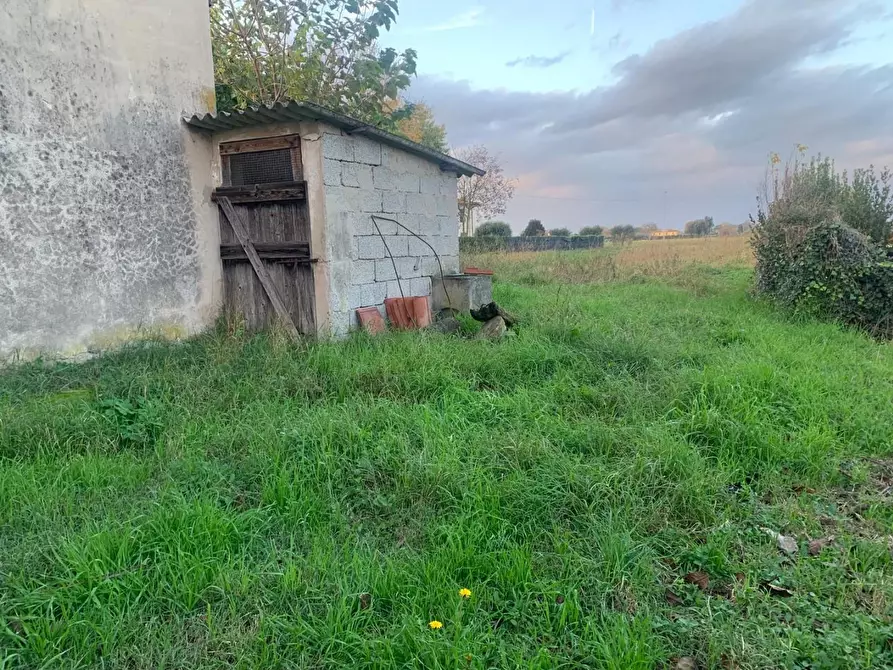 Immagine 26 di Terratetto in vendita  a San Giuliano Terme