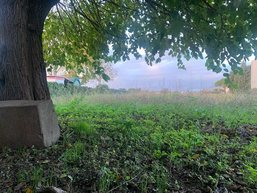 Immagine 22 di Terratetto in vendita  a San Giuliano Terme