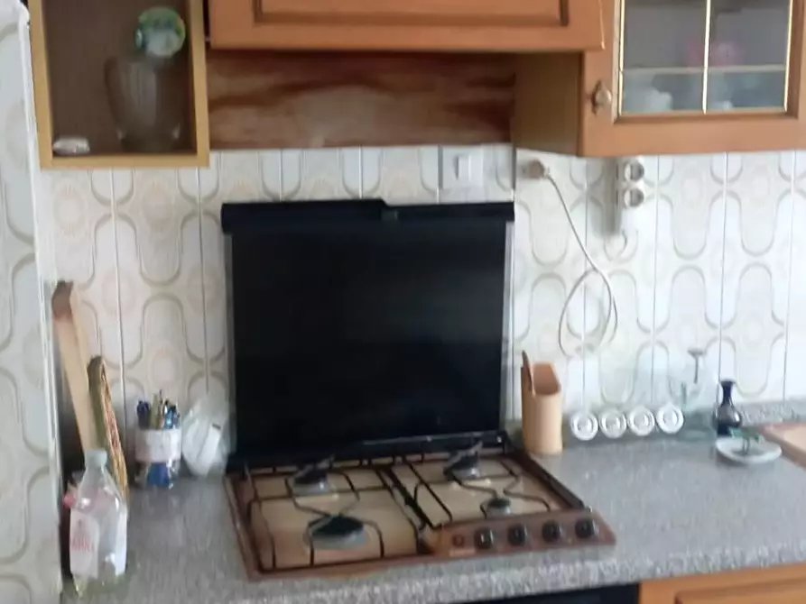 Immagine 12 di Appartamento in affitto  a Pisa