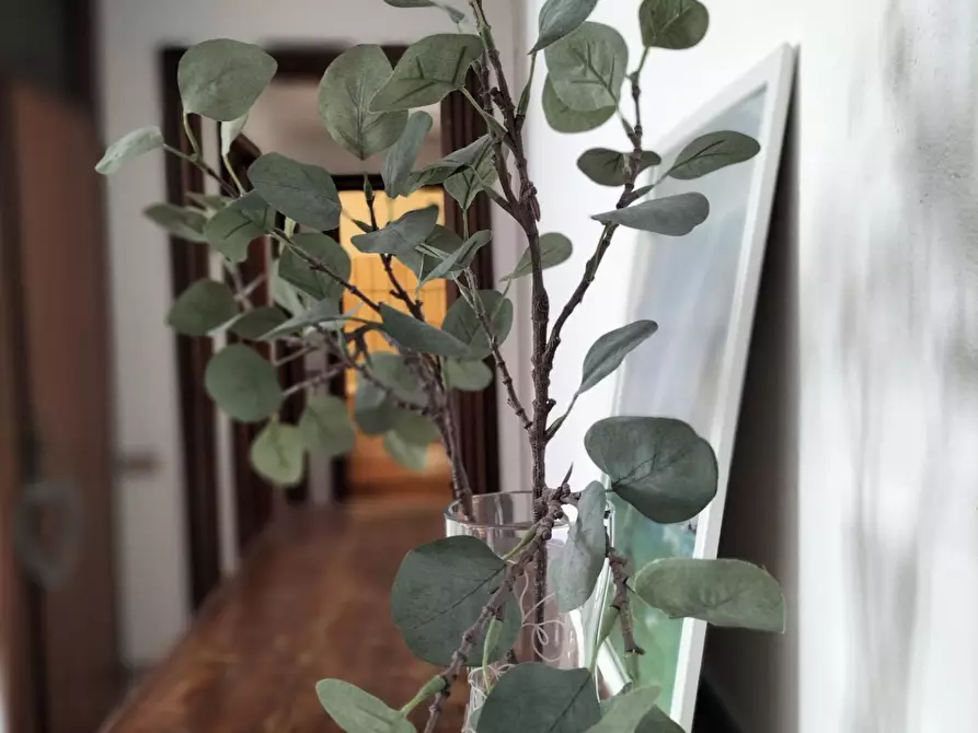 Immagine 6 di Appartamento in vendita  a Carrara