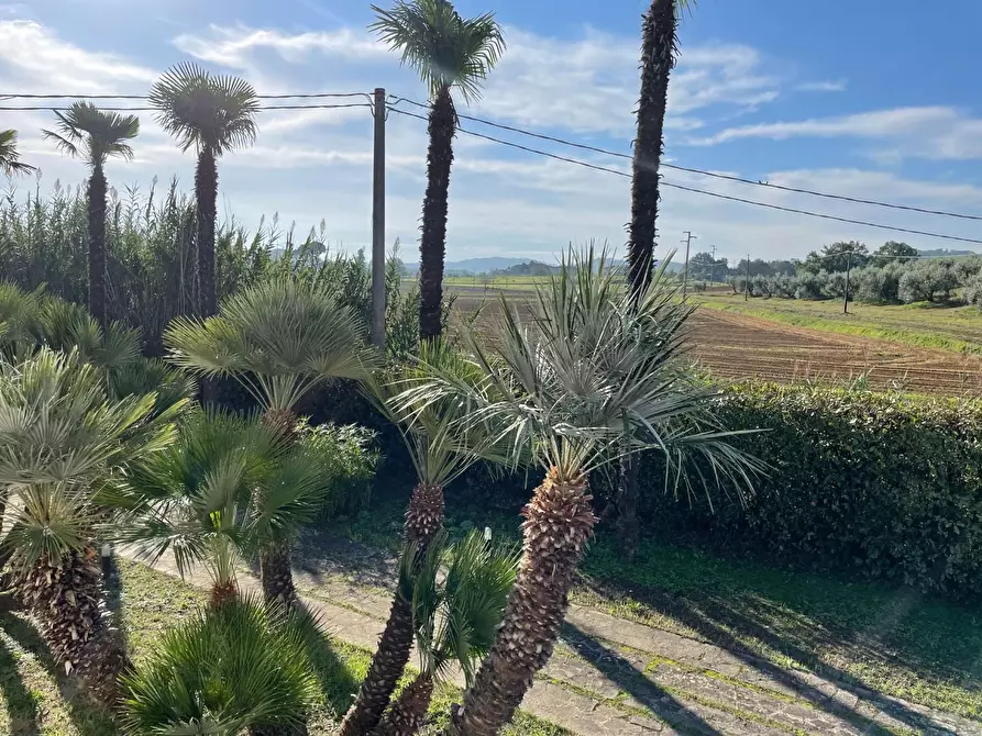 Immagine 27 di Casa indipendente in vendita  a San Miniato