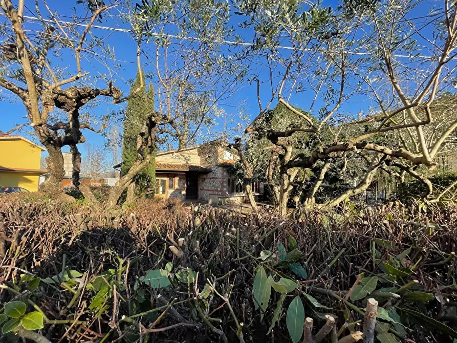 Immagine 30 di Villa in vendita  a Ponsacco