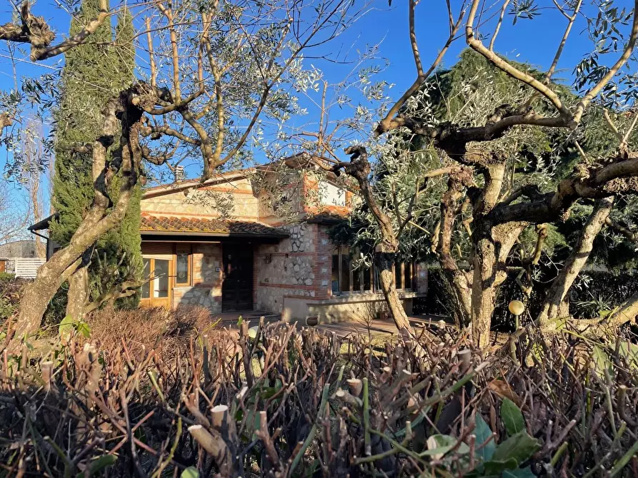 Immagine 31 di Villa in vendita  a Ponsacco