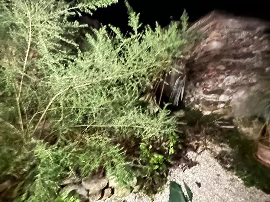 Immagine 12 di Terratetto in vendita  a Massa