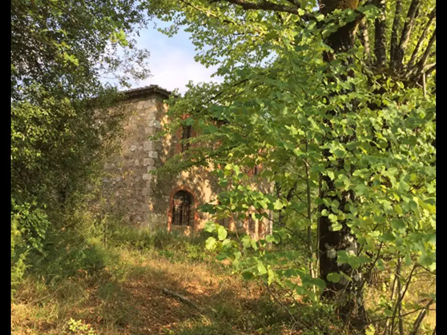 Immagine 13 di Casa colonica in vendita  a Sovicille