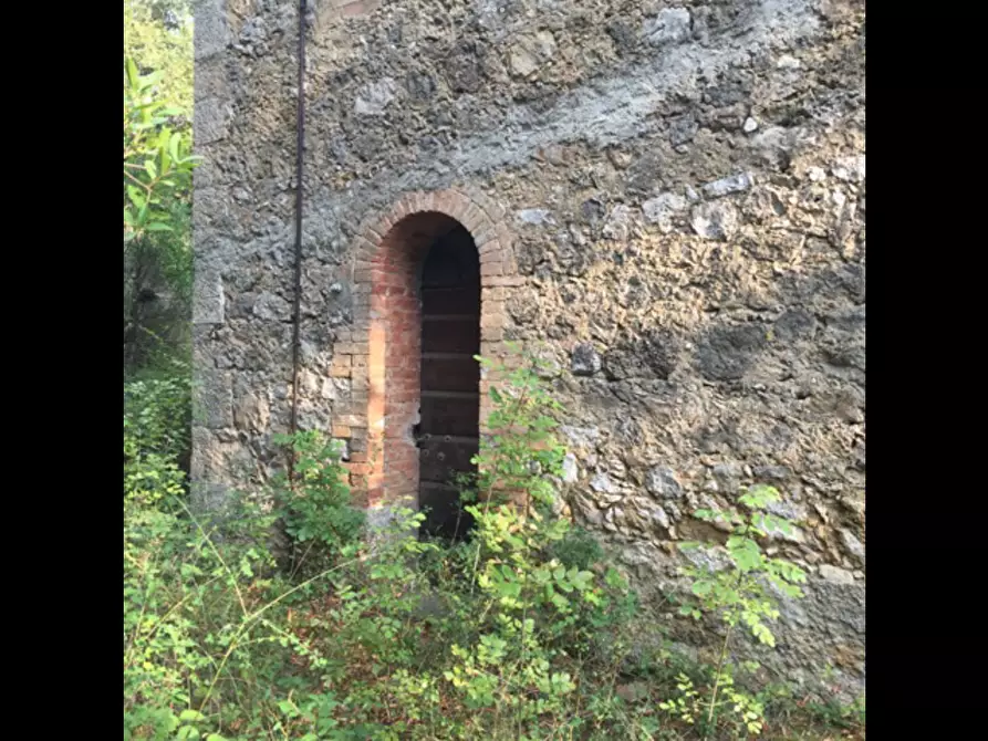 Immagine 4 di Casa colonica in vendita  a Sovicille