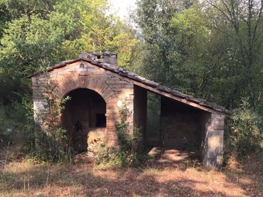 Immagine 14 di Casa colonica in vendita  a Sovicille