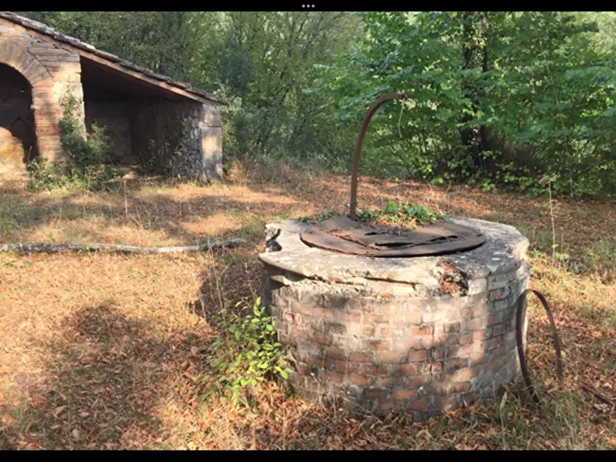 Immagine 2 di Casa colonica in vendita  a Sovicille