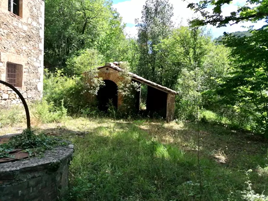Immagine 3 di Casa colonica in vendita  a Sovicille