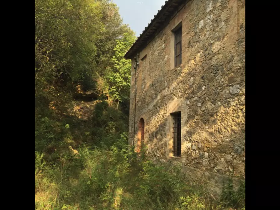 Immagine 8 di Casa colonica in vendita  a Sovicille