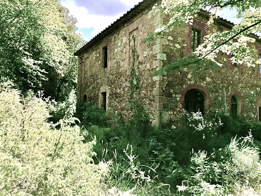 Immagine 11 di Casa colonica in vendita  a Sovicille