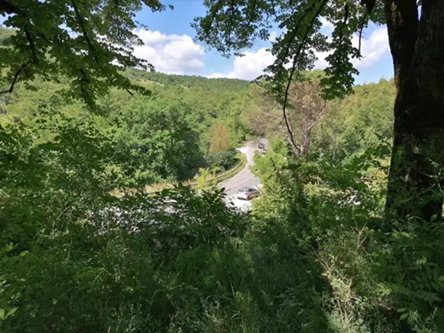 Immagine 15 di Casa colonica in vendita  a Sovicille