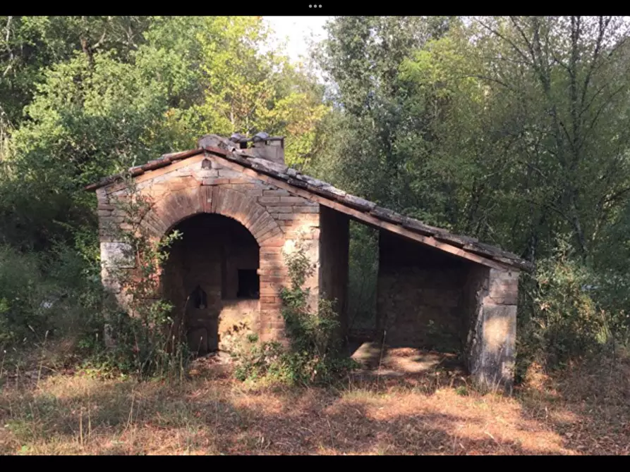 Immagine 9 di Casa colonica in vendita  a Sovicille