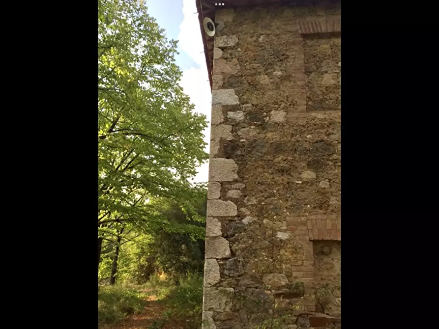 Immagine 5 di Casa colonica in vendita  a Sovicille