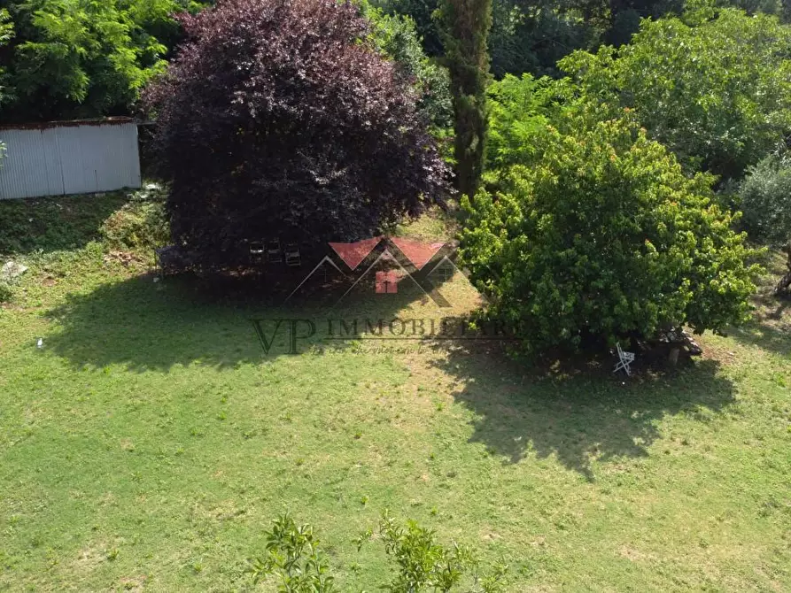 Immagine 5 di Terreno residenziale in vendita  a Pomarance