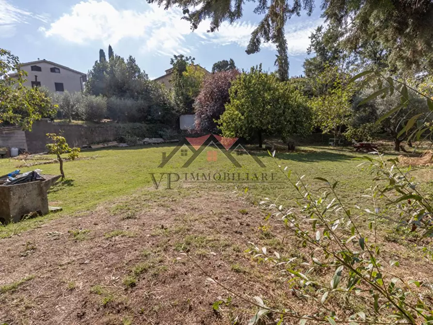 Immagine 10 di Terreno residenziale in vendita  a Pomarance