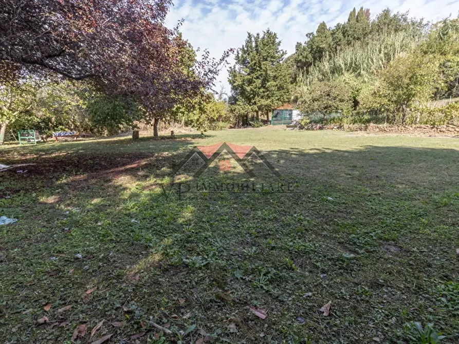 Immagine 8 di Terreno residenziale in vendita  a Pomarance