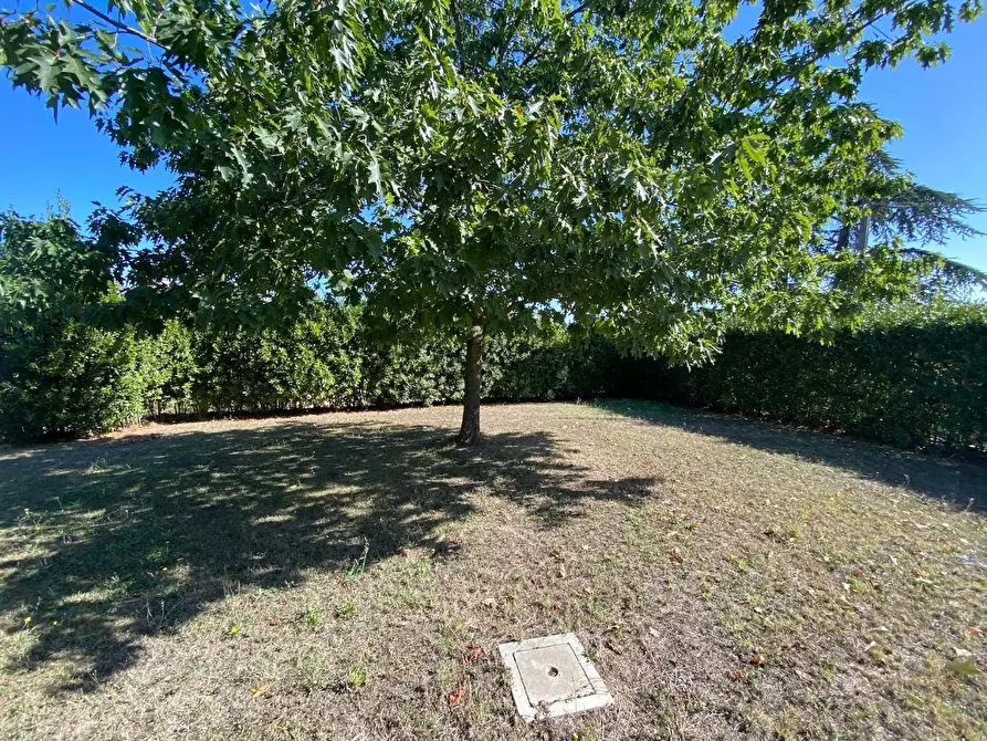 Immagine 42 di Casa indipendente in vendita  a Montelupo Fiorentino