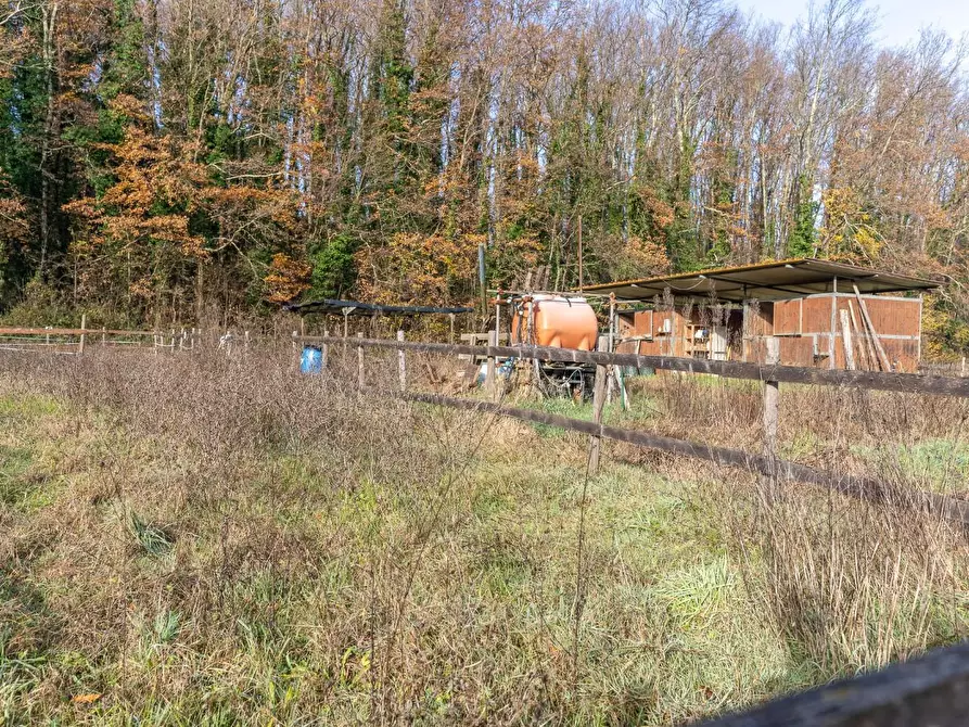 Immagine 10 di Rustico / casale in vendita  a Empoli