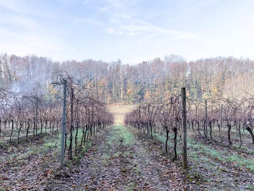 Immagine 6 di Rustico / casale in vendita  a Empoli