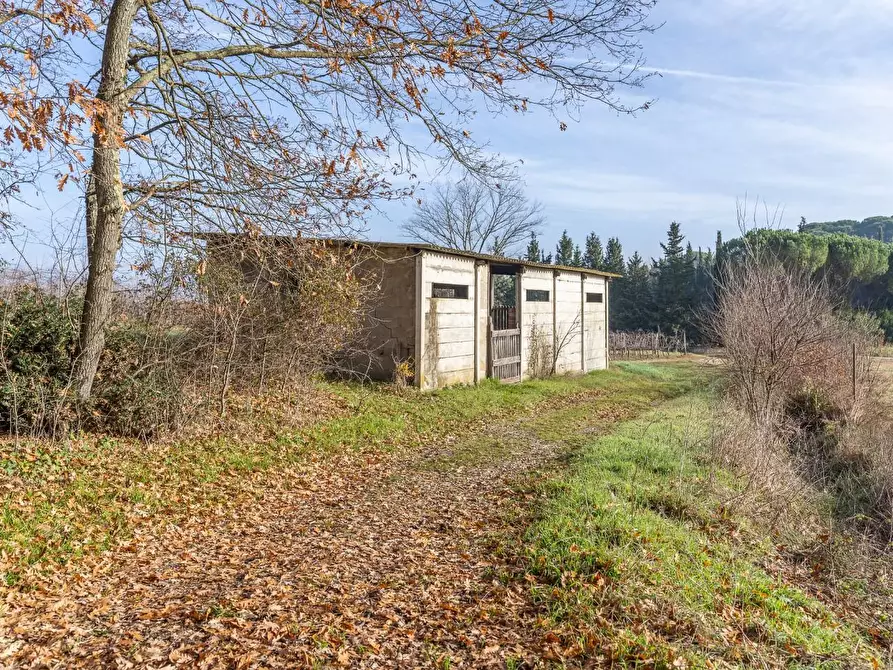 Immagine 9 di Rustico / casale in vendita  a Empoli