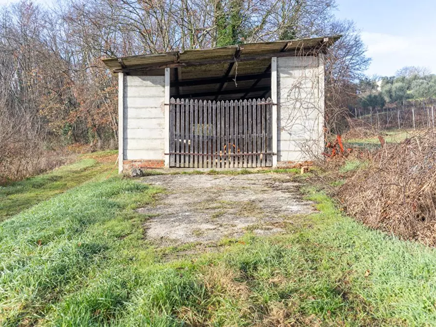 Immagine 8 di Rustico / casale in vendita  a Empoli