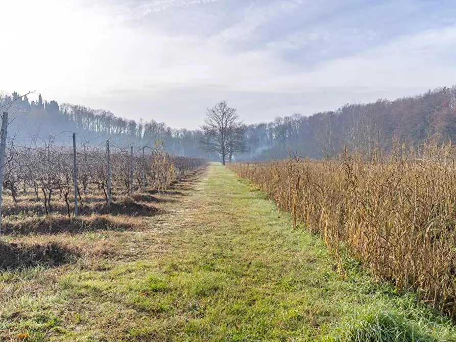 Immagine 7 di Rustico / casale in vendita  a Empoli