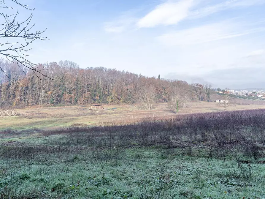 Immagine 5 di Rustico / casale in vendita  a Empoli