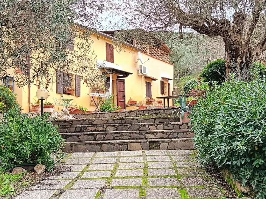 Immagine 1 di Casa bifamiliare in vendita  a Vicopisano