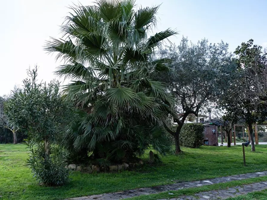 Immagine 1 di Casa indipendente in vendita  a Pisa