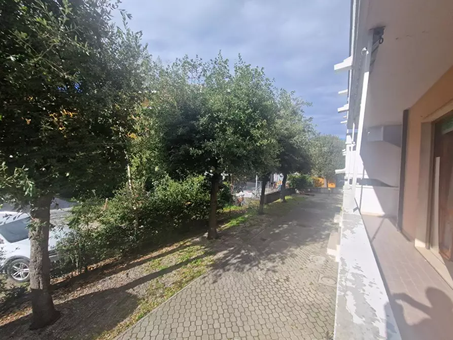 Immagine 6 di Appartamento in affitto  a Rosignano Marittimo