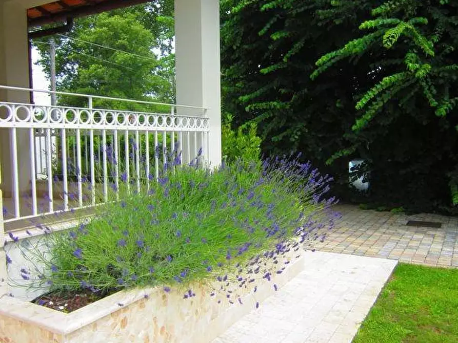 Immagine 6 di Casa bifamiliare in vendita  a Pietrasanta