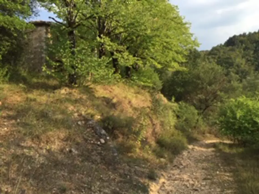 Immagine 18 di Casa colonica in vendita  a Sovicille