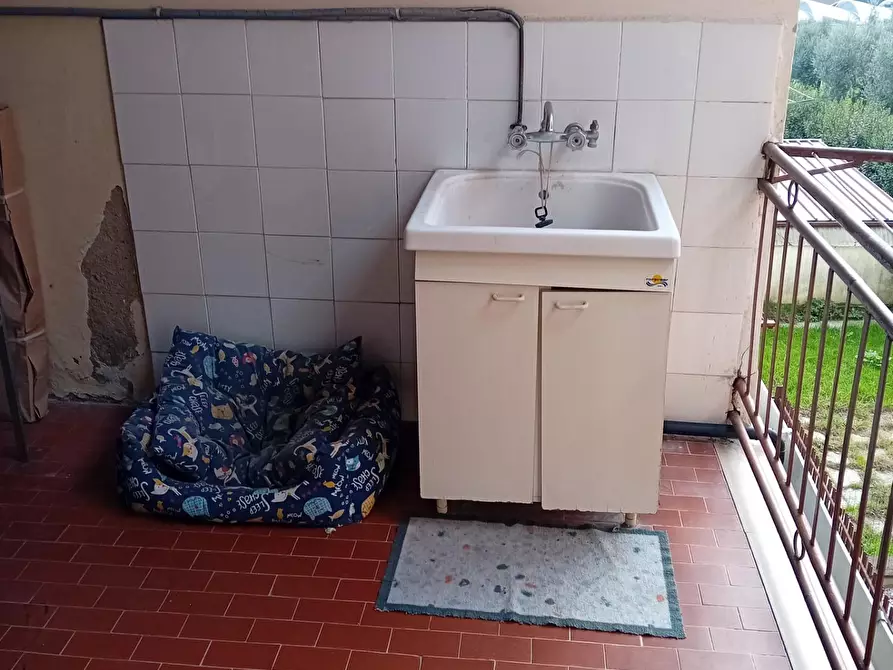 Immagine 18 di Terratetto in vendita  a Lamporecchio