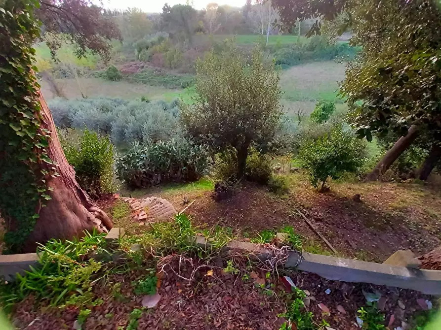 Immagine 31 di Palazzo in vendita  a Pisa