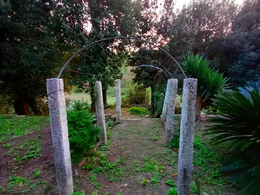 Immagine 48 di Palazzo in vendita  a Pisa