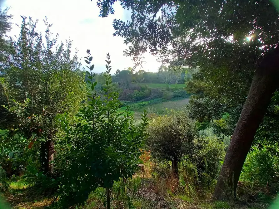 Immagine 37 di Palazzo in vendita  a Pisa