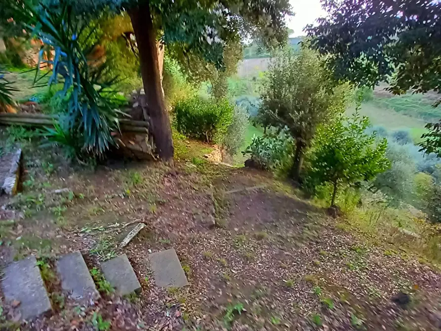 Immagine 11 di Palazzo in vendita  a Pisa