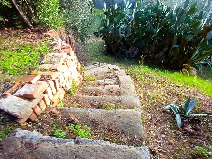 Immagine 4 di Palazzo in vendita  a Pisa