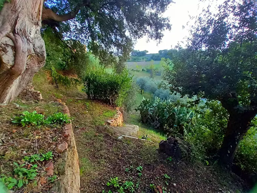 Immagine 25 di Palazzo in vendita  a Pisa